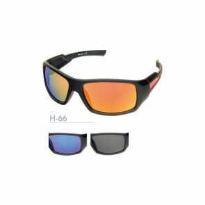 H66 Sunglasses