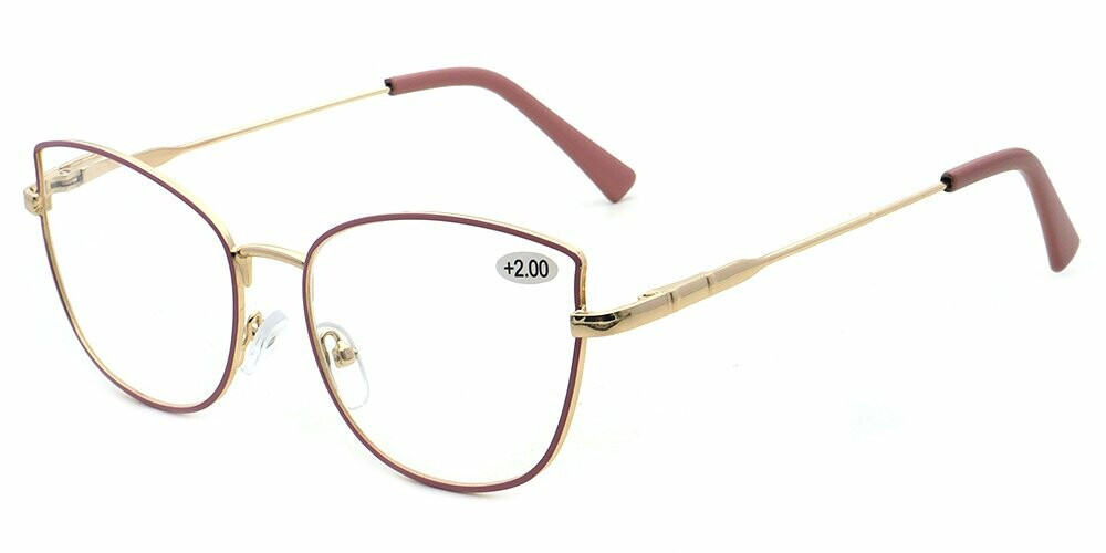 RG-340 Reading Glasses Display