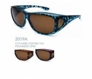 2019A Kost Polarized Fit Over