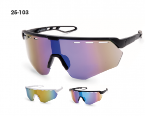 25-103 Kost Sunglasses
