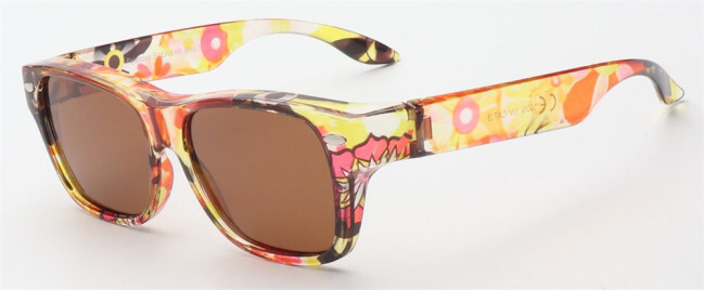 2022D Kost Polarized Fitover