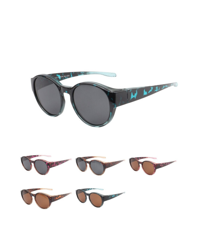 2059 Kost Polarized Fit Over