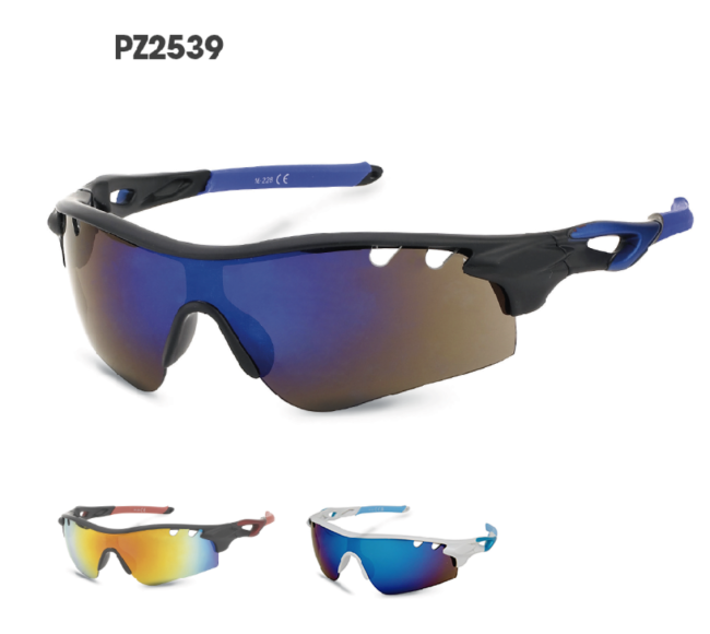PZ2539 Kost Polarized Sunglasses